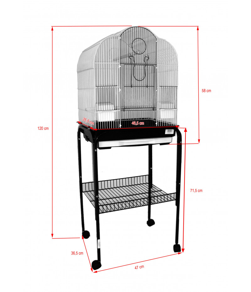 Cages Dintérieur